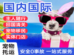 白城航空快运国际宠物托运 【国